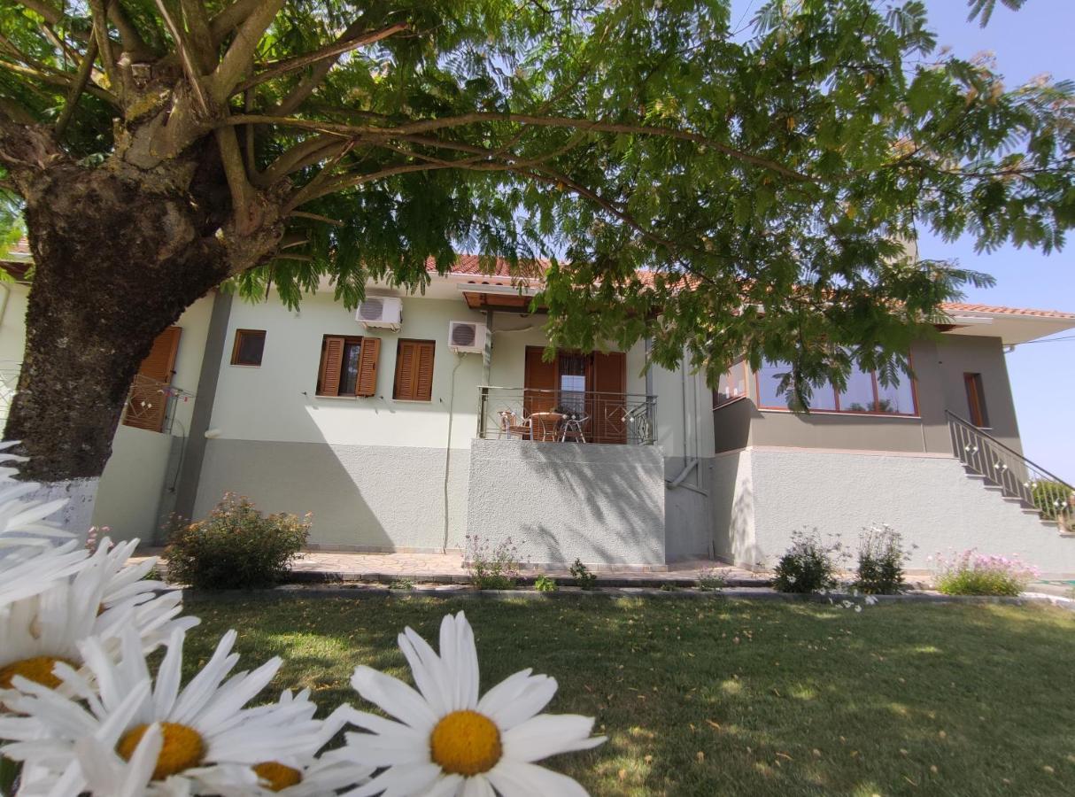 Zisis Garden Studios يانينة المظهر الخارجي الصورة