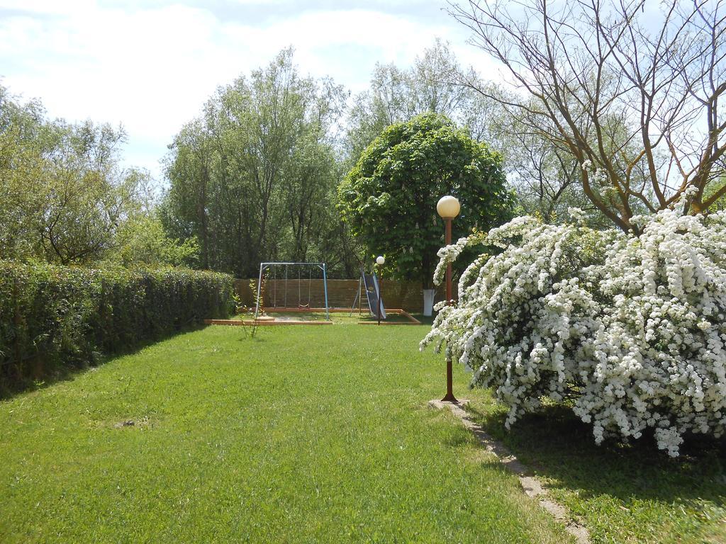 Zisis Garden Studios يانينة المظهر الخارجي الصورة