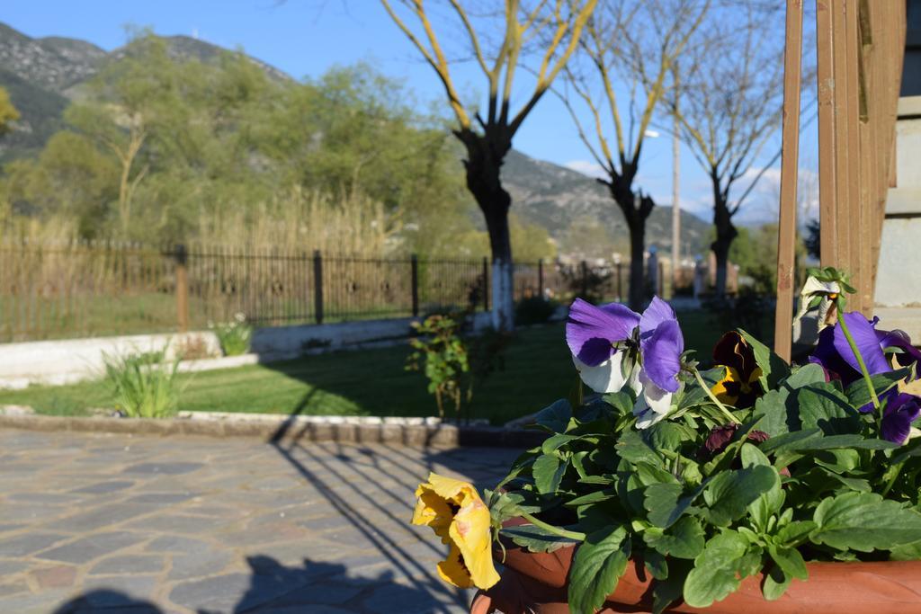 Zisis Garden Studios يانينة المظهر الخارجي الصورة